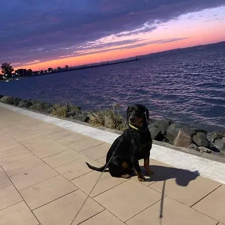 Nati Nagy שיופוק